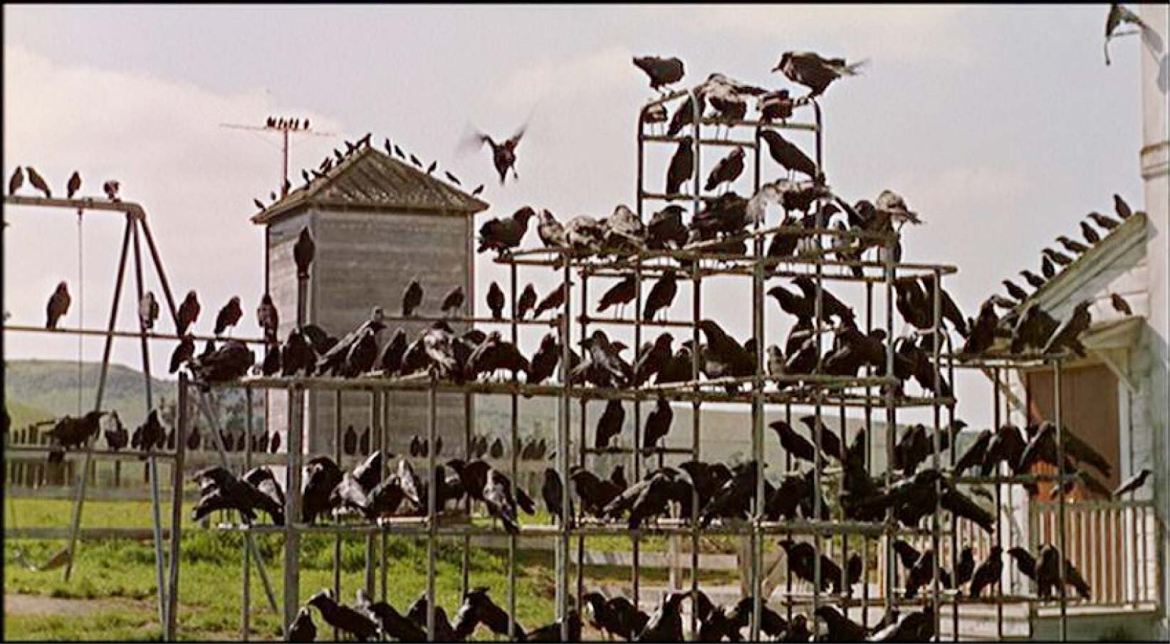 The Birds (1963), Universal Pictures.